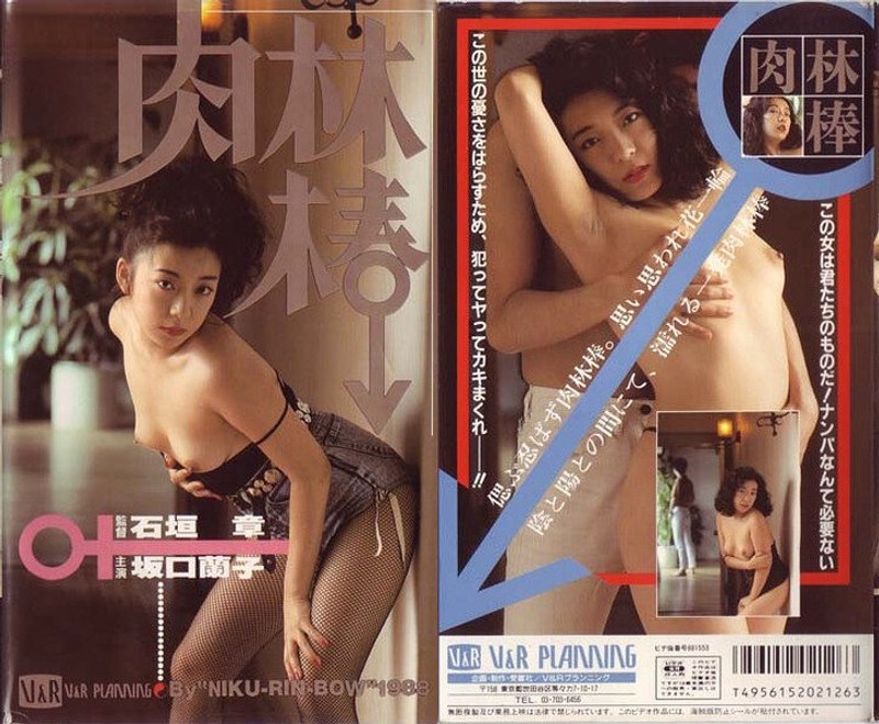 坂口蘭子 - 素人AV女優判定AIによる判定結果