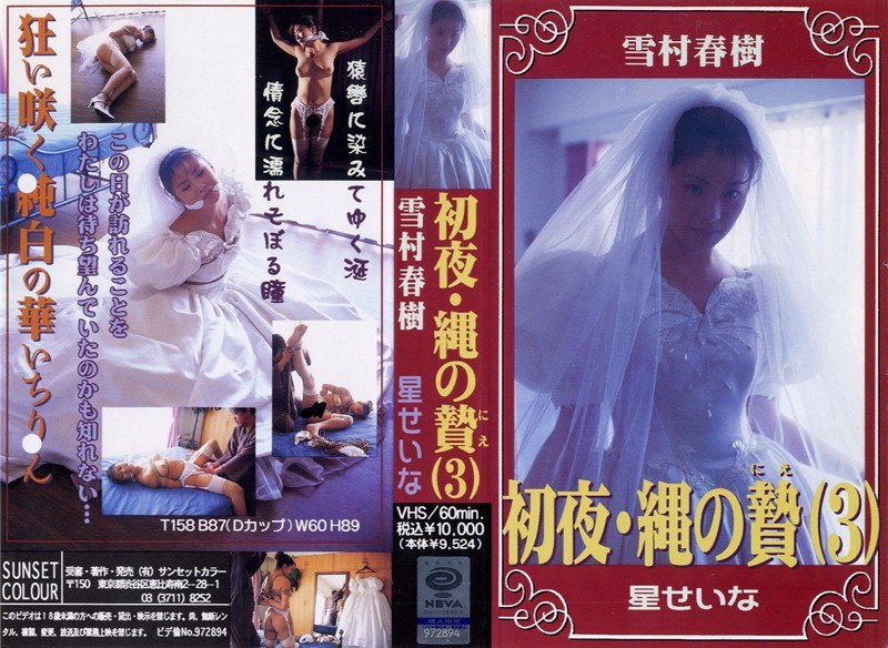星せいな - 素人AV女優判定AIによる判定結果