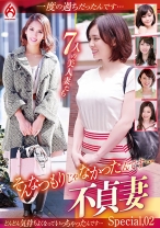 そんなつもりじゃなかったんです…不貞妻 Special.02 - ホットエンターテイメント - 016DHT-0806