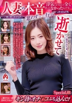 人妻の本音 浮気しようなんて全く思ってなかったんです。でも、街で声をかけられて、思わずついて行ってしまったんです。 Special.01 - ホットエンターテイメント - 016DHT-0844