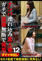 ダマで中出し ナンパ連れ込み素人妻 ガチで盗撮無断で発売 12 - ビッグモーカル - 022ITSR-018