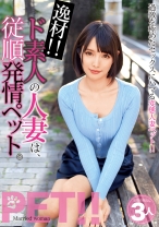 逸材！！ド素人の人妻は、従順発情ペット。 みほ みらい ゆあ - ビッグモーカル - 022JKSR-356