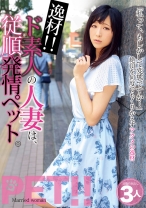 逸材！！ド素人の人妻は、従順発情ペット。 さえ みいな いおり - ビッグモーカル - 022JKSR-361 - 素人AV女優判定AI