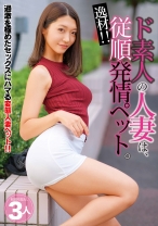 逸材！！ド素人の人妻は、従順発情ペット。 れのん しおり あこ - ビッグモーカル - 022JKSR-376
