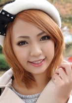 ひかり - G-AREA - 241GAREA-121