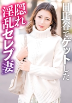 日比谷でナンパした隠れ淫乱セレブ人妻 - E★人妻DX - 299EWDX-528