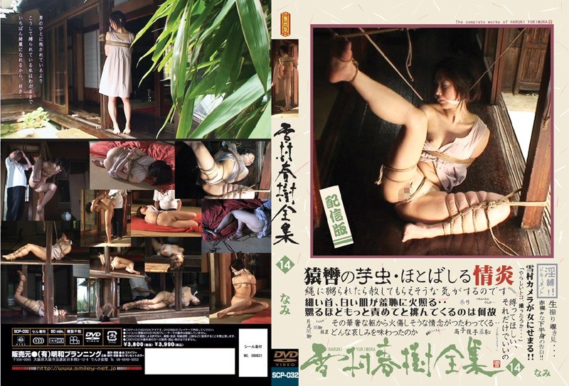 雪村春樹全集 14 なみ - サンセットカラー - 178scp00032