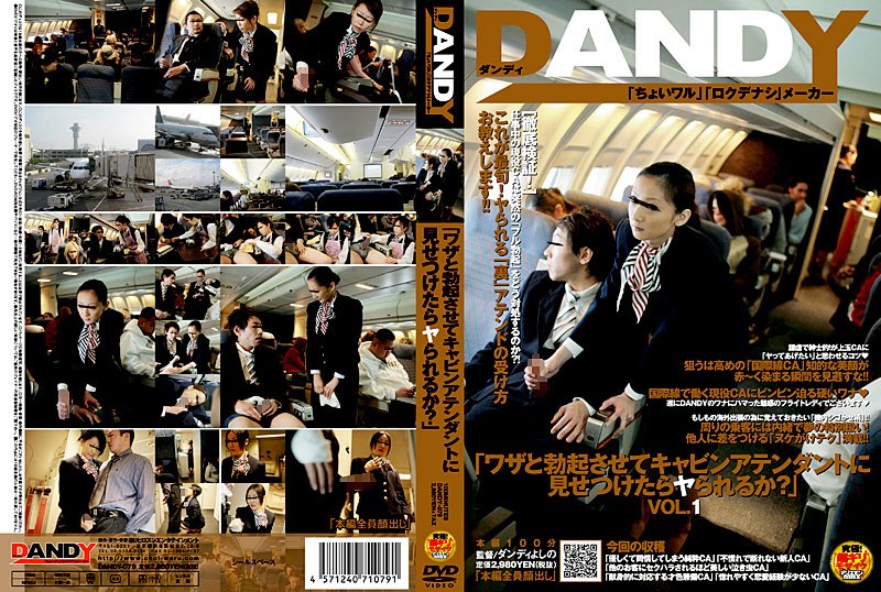 「ワザと勃起させてキャビンアテンダントに見せつけたらヤられるか？」 - DANDY - 1dandy079