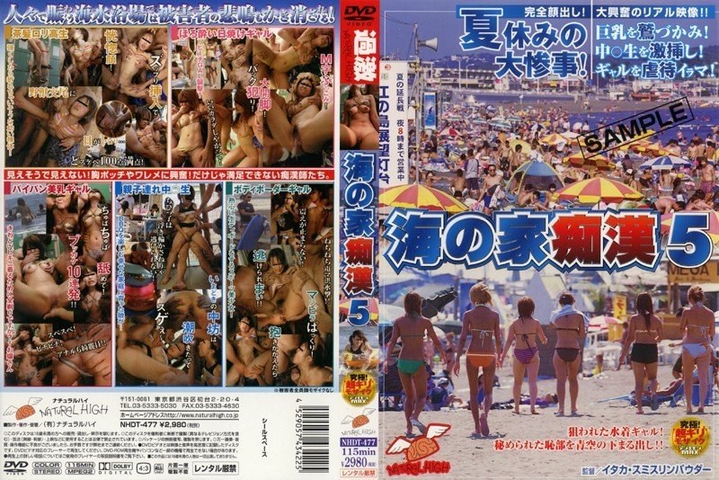 海の家痴● 5 - ナチュラルハイ - 1nhdt00477