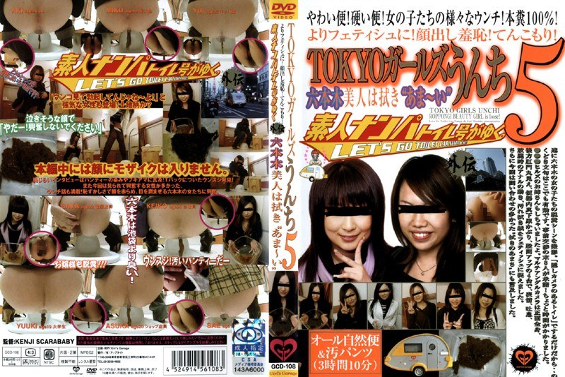素人ナンパトイレ号がゆく 外伝 TOKYOガールズうんち5 - レイディックス - 433gcd108