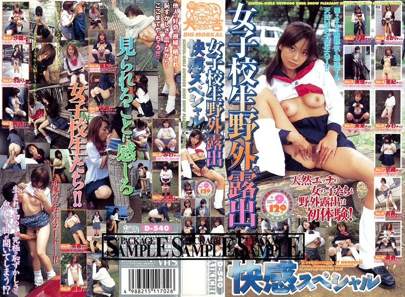 女子校生野外露出快感スペシャル - ビッグモーカル - 57d00540