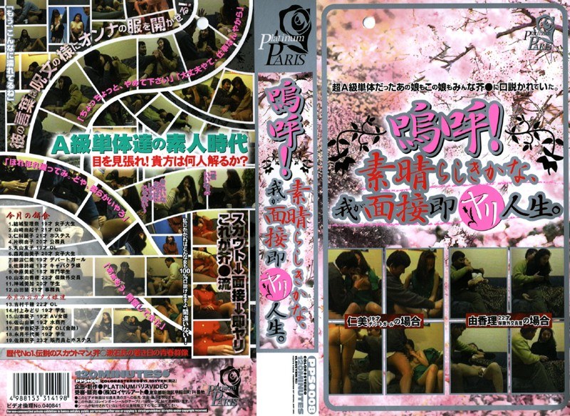 嗚呼！素晴らしきかな、我が面接即ヤリ人生。 - ロイヤルアート - 65pps008