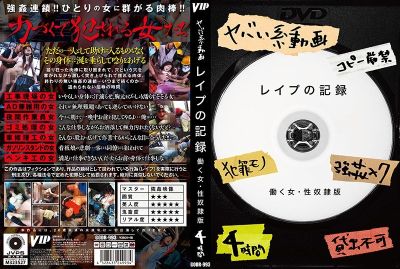 レ●プの記録 - VIP - 78godr00993
