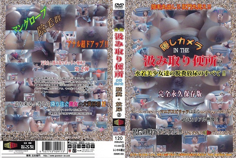 隠しカメラ IN THE 汲み取り便所 水着美少女達の脱糞放尿のすべて！ パート2 - EYEBOX - eskws00002