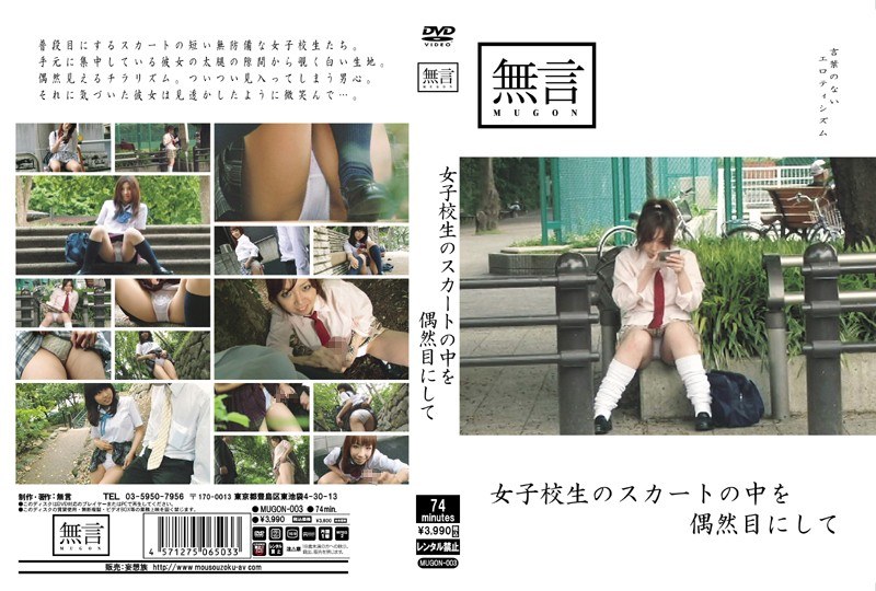 女子校生のスカートの中を偶然目にして - 無言/妄想族 - mugon00003