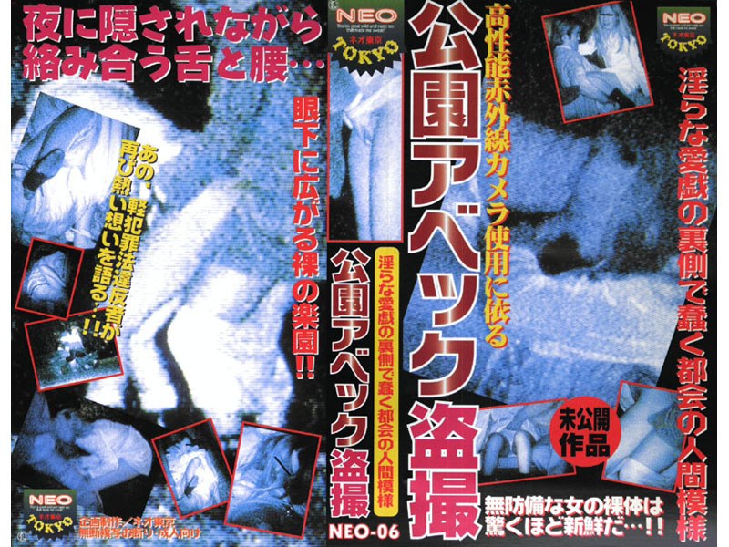 公園アベック盗撮 - ネオTOKYO - neo006