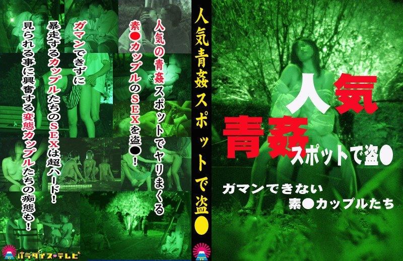 人気青姦スポットで盗○～ガマンできない素○カップルたち - パラダイステレビ - parat01391