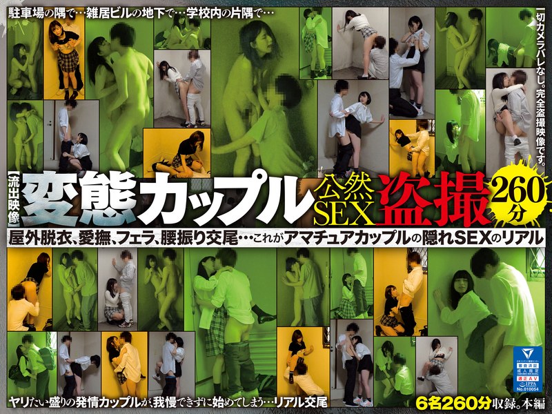 【流出映像】変態カップル 公然SEX盗撮 260分 屋外脱衣、愛撫、フェラ、腰振り交尾…これがアマチュアカップルの隠れSEXのリアル - U-ra - rurb00001